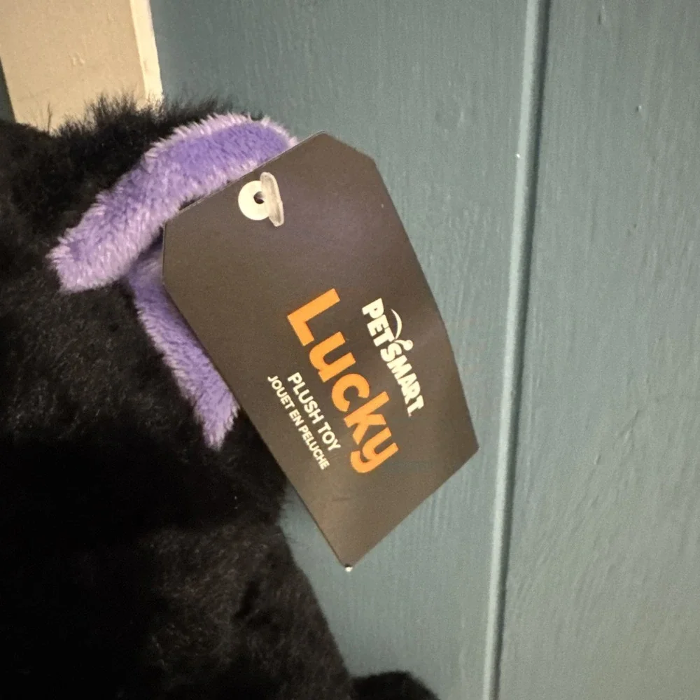 Petsmart‎ 12